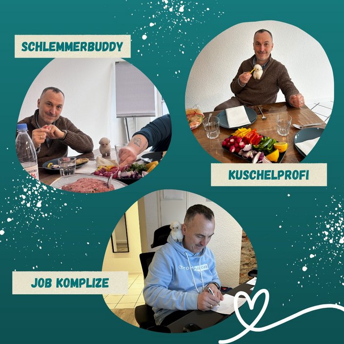 Erinnert ihr euch noch an unser kleines Fundschaf? Uwe hat das kleine Schaf beim Spazierengehen gefunden und wir haben... Erinnert ihr euch noch an unser kleines Fundschaf? Uwe hat das kleine Schaf beim Spazierengehen gefunden und wir haben...